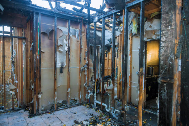 Professional Fire Damage Removal technician working in Los Ranchos de Albuquerque, NM
